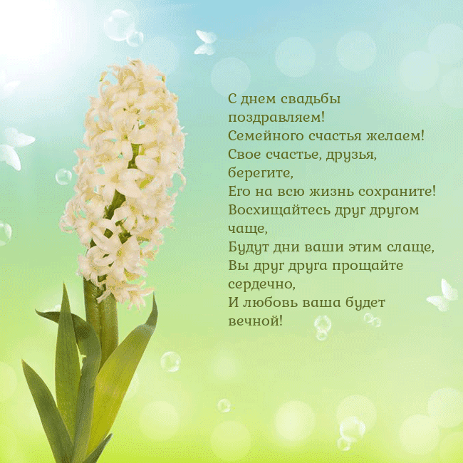 Открытка с гиацинтом С днем свадьбы поздравляем!
Семейного счастья жела Открытка с гиацинтом