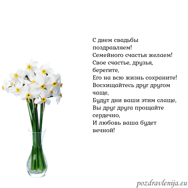 Открытка с нарциссами С днем свадьбы поздравляем!
Семейного счастья жела Открытка с нарциссами