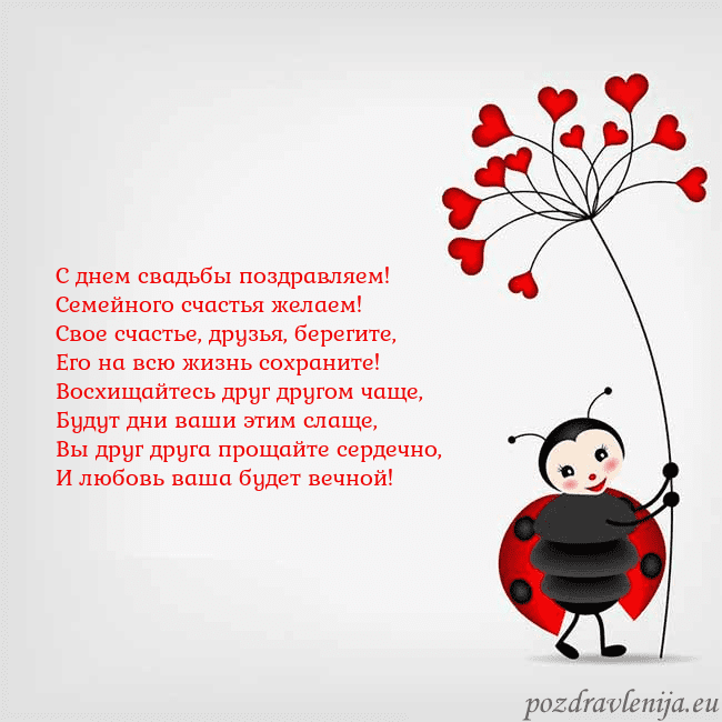Открытка с божьей коровкой С днем свадьбы поздравляем!
Семейного счастья жела Открытка с божьей коровкой