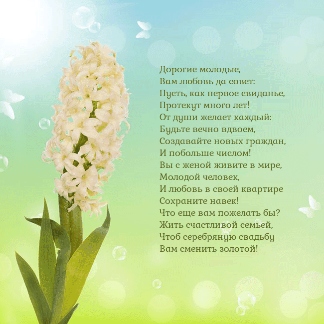 Открытка с гиацинтом Дорогие молодые,
Вам любовь да совет:
Пусть, как п Открытка с гиацинтом