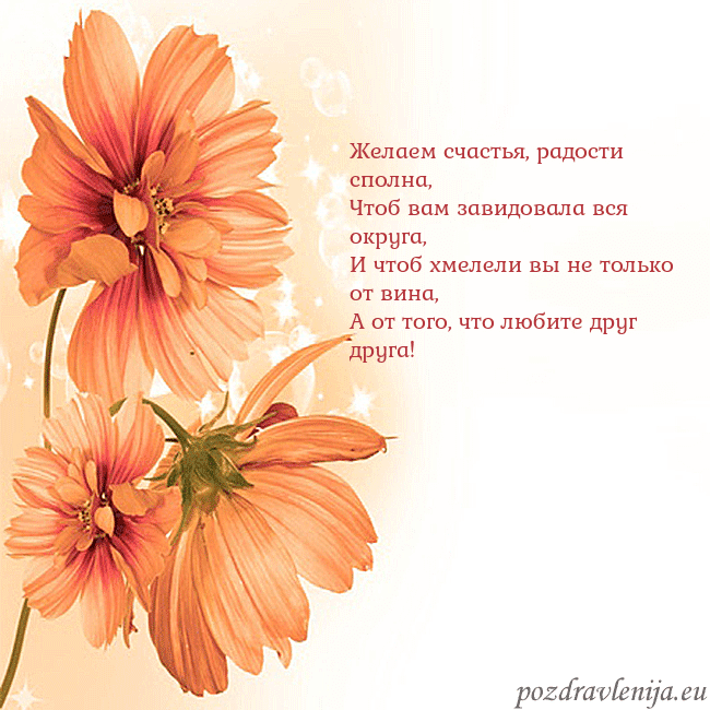Открытка с оранжевыми цветами Желаем счастья, радости сполна,
Чтоб вам завидовал Открытка с оранжевыми цветами