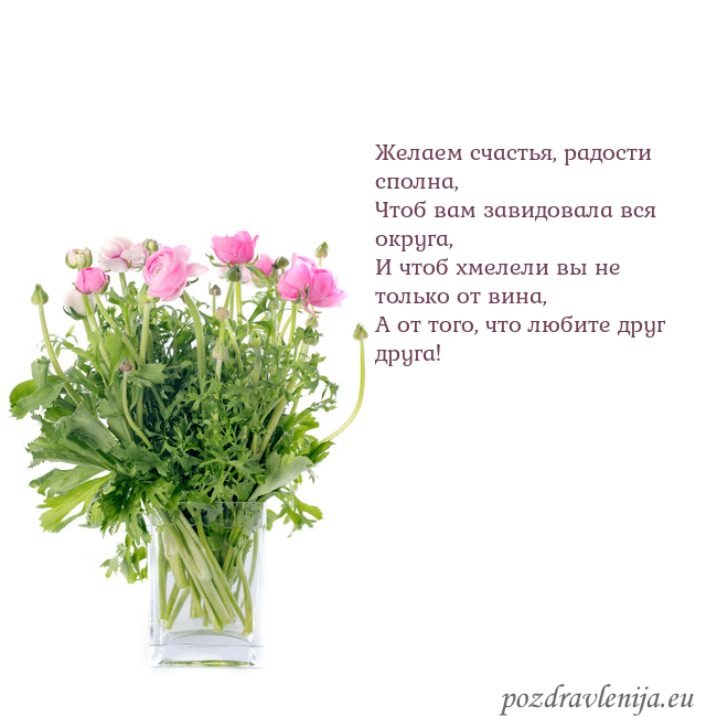 Открытка с цветами в вазе Желаем счастья, радости сполна,
Чтоб вам завидовал Открытка с цветами в вазе