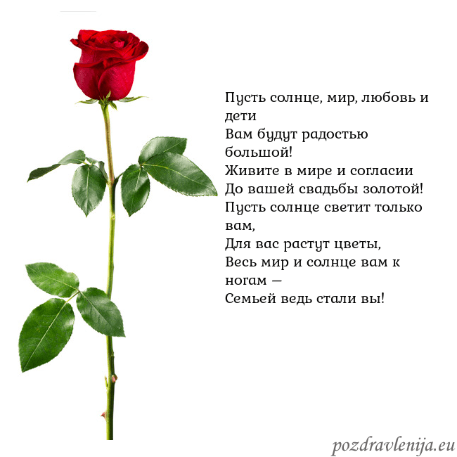 Открытка с красной розой Пусть солнце, мир, любовь и дети
Вам будут радость Открытка с красной розой