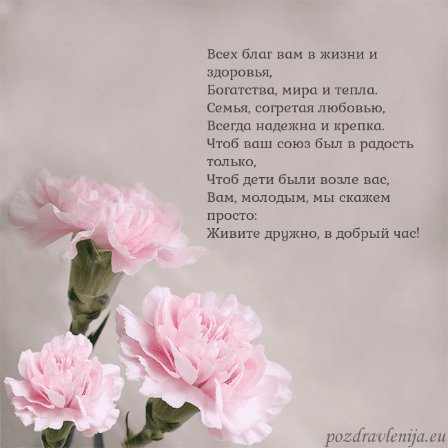 Открытка с розовыми гвоздиками Всех благ вам в жизни и здоровья,
Богатства, мира Открытка с розовыми гвоздиками