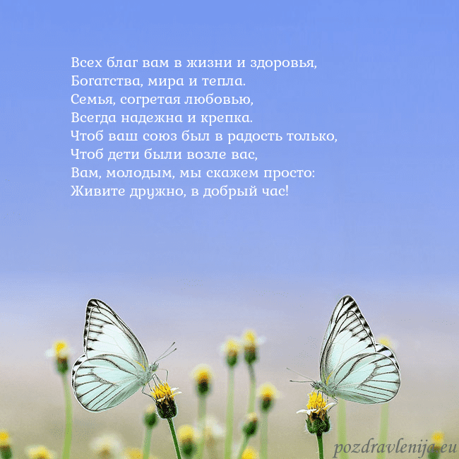 Свадебная открытка с двумя бабочками Всех благ вам в жизни и здоровья,
Богатства, мира Свадебная открытка с двумя бабочками