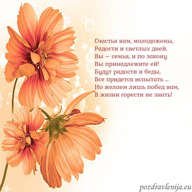 Открытка с оранжевыми цветами Счастья вам, молодожены,
Радости и светлых дней.
В Открытка с оранжевыми цветами
