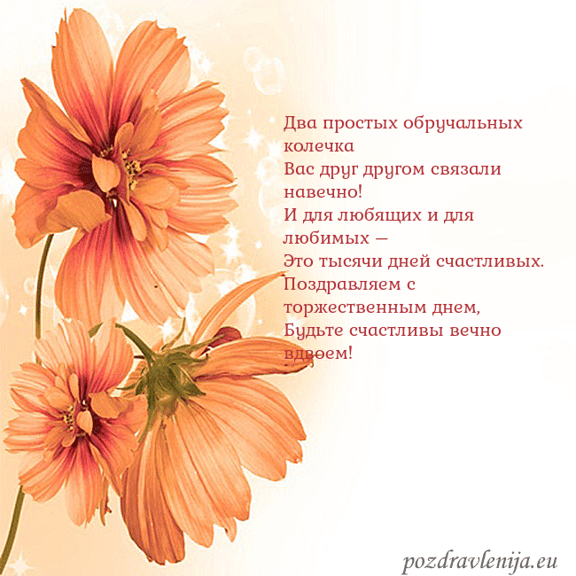 Открытка с оранжевыми цветами Два простых обручальных колечка
Вас друг другом св Открытка с оранжевыми цветами