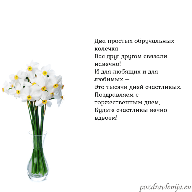 Открытка с нарциссами Два простых обручальных колечка
Вас друг другом св Открытка с нарциссами
