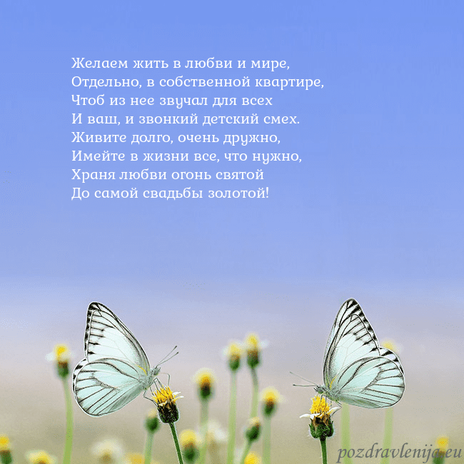 Свадебная открытка с двумя бабочками Желаем жить в любви и мире,
Отдельно, в собственно Свадебная открытка с двумя бабочками
