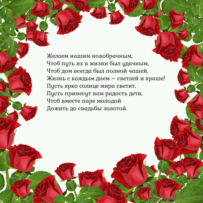 Открытка с красными розами Желаем нашим новобрачным,
Чтоб путь их в жизни был Открытка с красными розами
