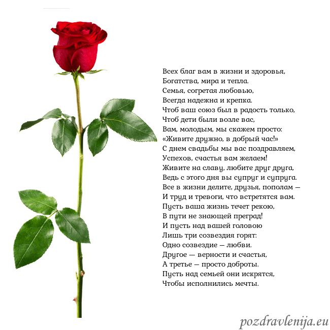 Открытка с красной розой Всех благ вам в жизни и здоровья,
Богатства, мира Открытка с красной розой