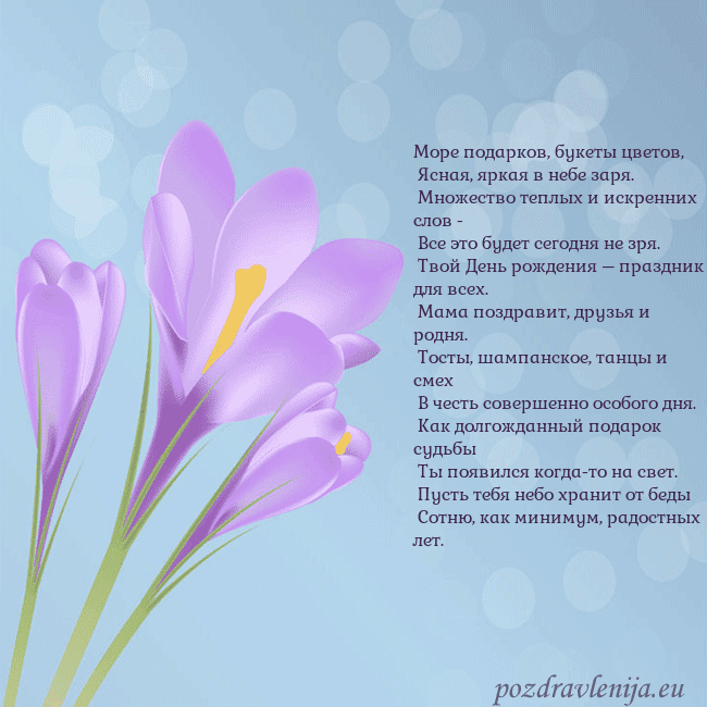 Открытка с крокусом