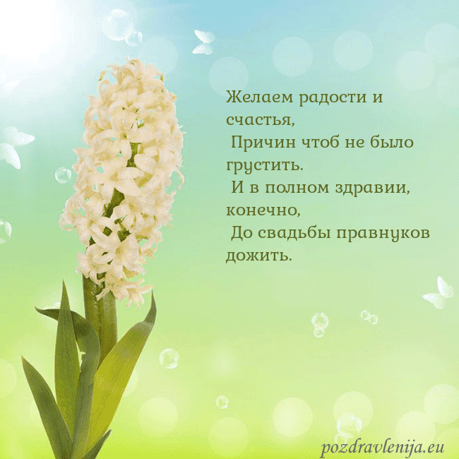 Открытка с гиацинтом