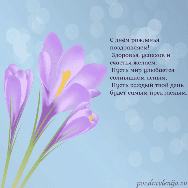 Открытка с крокусом