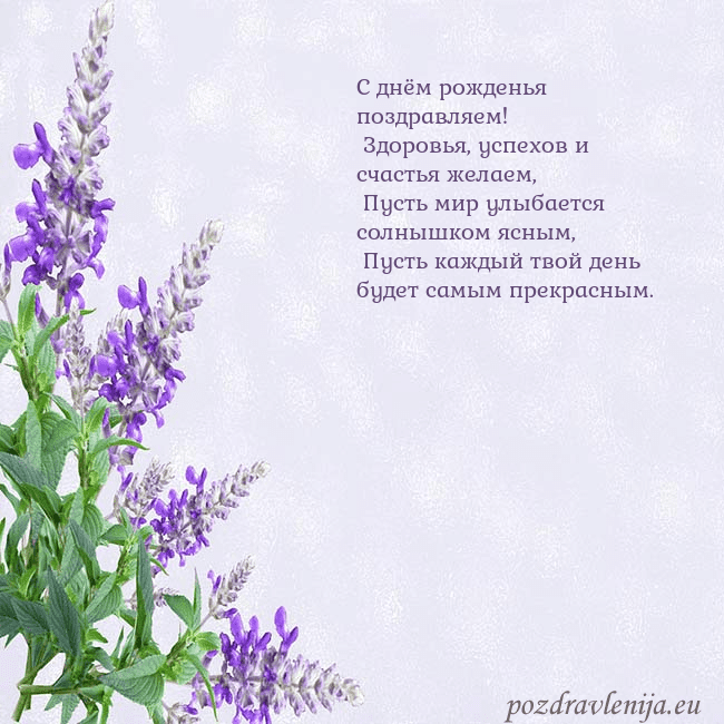 Открытка с люпинами