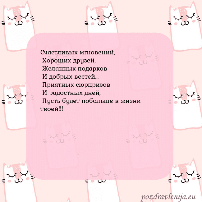 Розовая открытка с забавными кошками