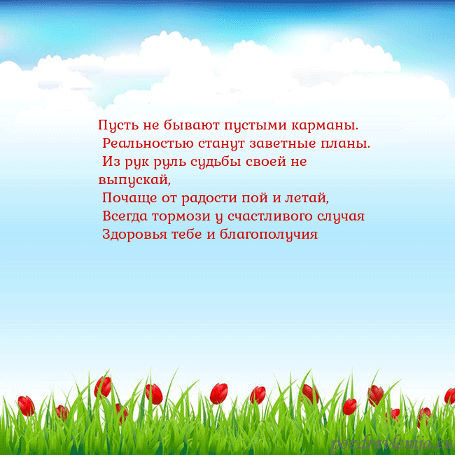 Открытка с тюльпанами