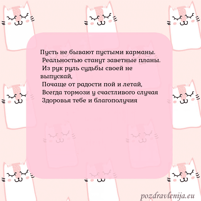 Розовая открытка с забавными кошками