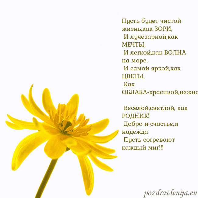 Открытка с желтым цветком