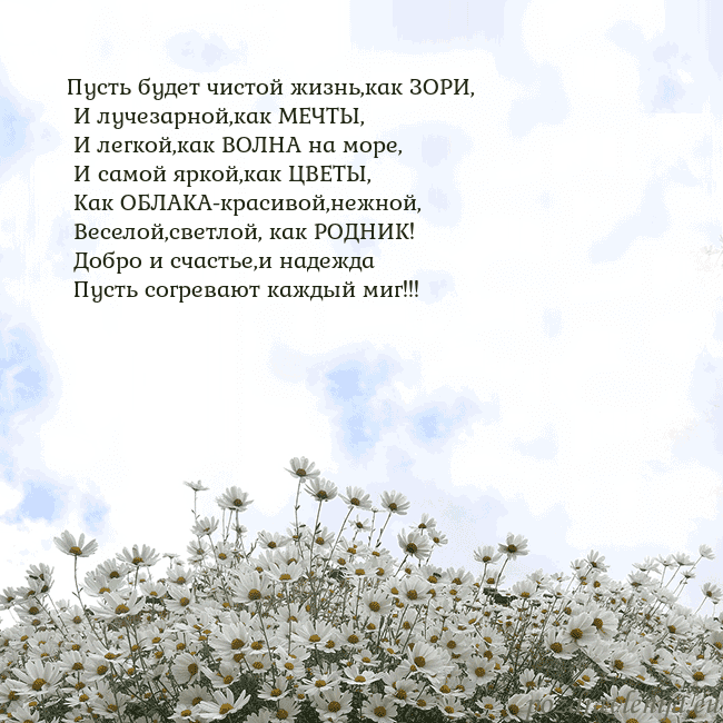 Открытка с ромашками