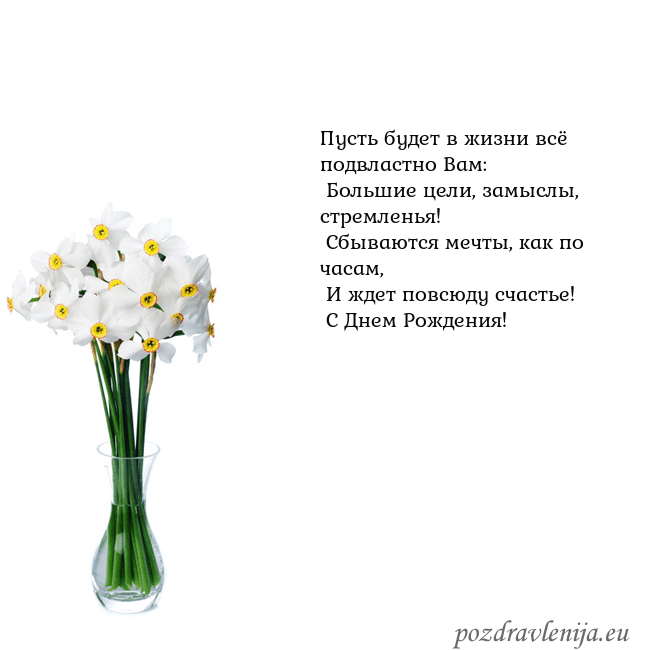 Открытка с нарциссами