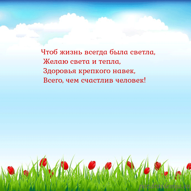 Открытка с тюльпанами