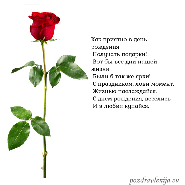 Открытка с красной розой