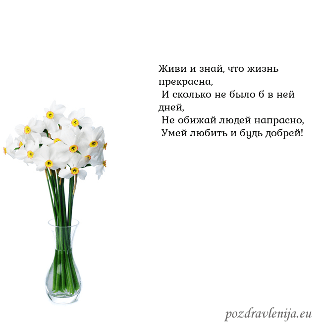 Открытка с нарциссами