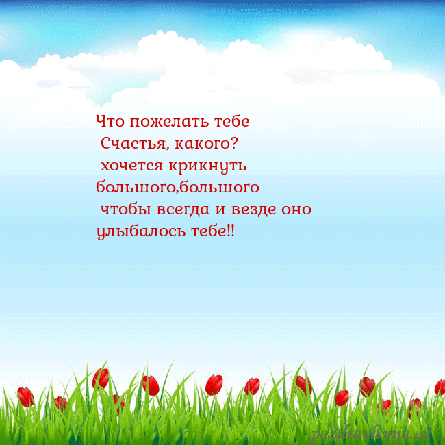 Открытка с тюльпанами