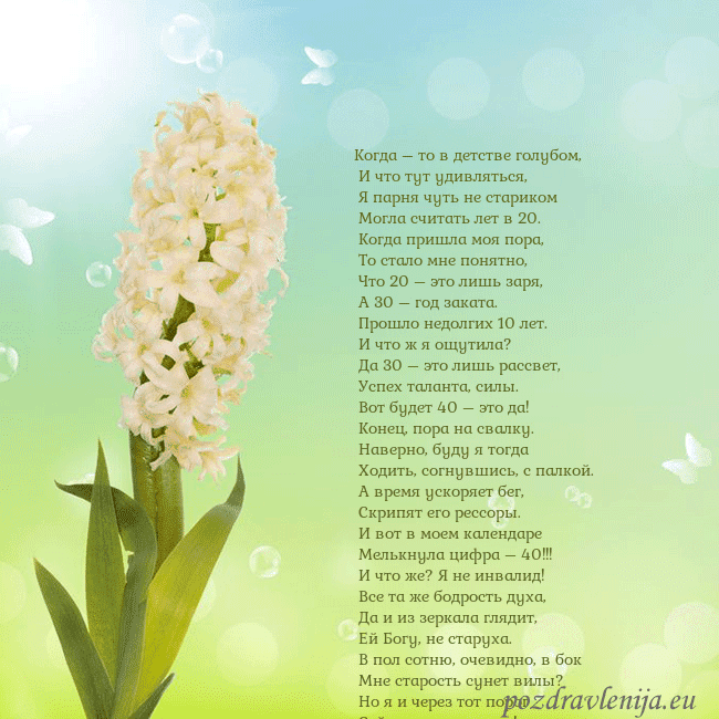 Открытка с гиацинтом