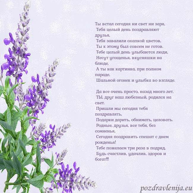 Открытка с люпинами