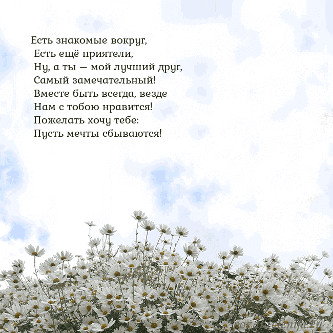 Открытка с ромашками