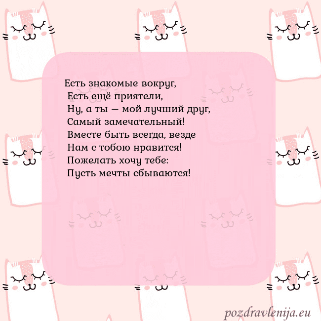 Розовая открытка с забавными кошками
