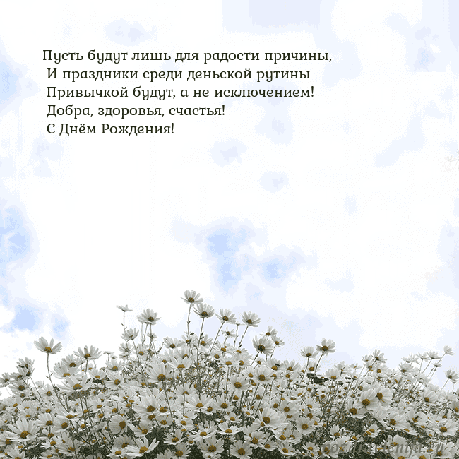 Открытка с ромашками