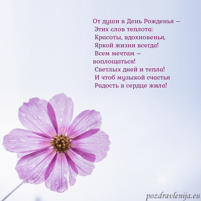 Электронная открытка с фиолетовым цветком