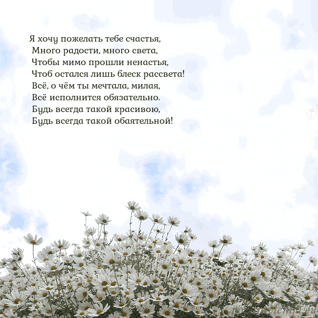 Открытка с ромашками