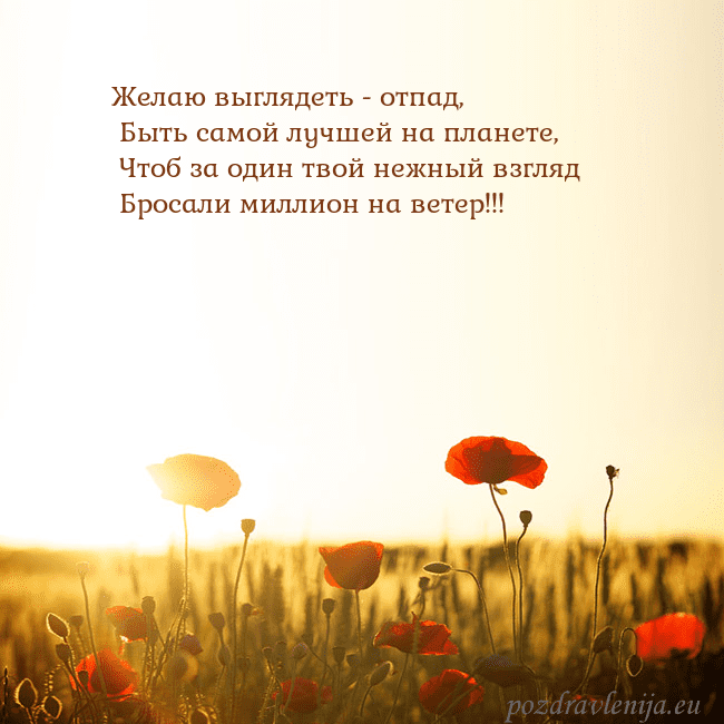 Электронная открытка с полем маков