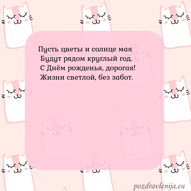 Розовая открытка с забавными кошками