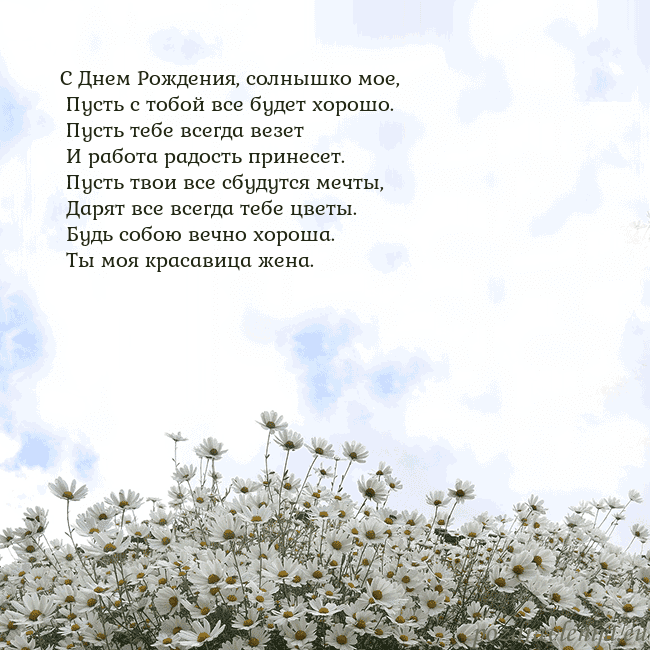 Открытка с ромашками