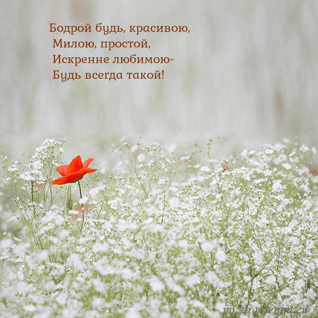 Электронная открытка с белыми цветами