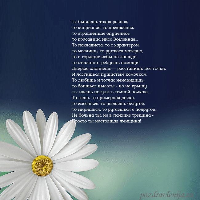 Открытка с большой ромашкой