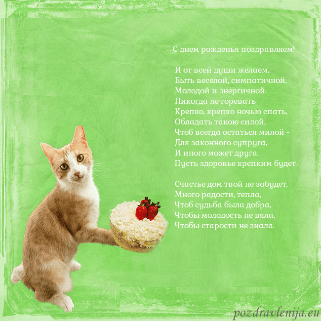 Забавная открытка на день рождения с кошкой и тортом