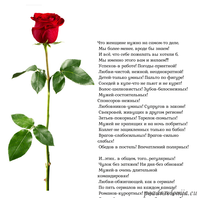 Открытка с красной розой Что женщине нужно на самом-то деле,
Мы более-мен Открытка с красной розой