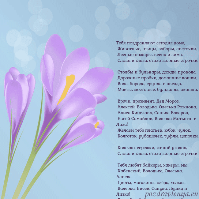 Открытка с крокусом