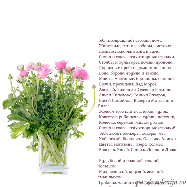Открытка с цветами в вазе Тебя поздравляют сегодня дома,
Животные, птицы, Открытка с цветами в вазе