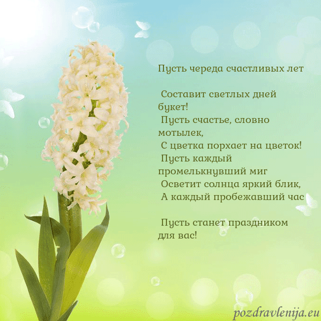 Открытка с гиацинтом