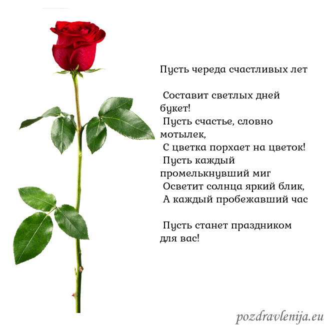 Открытка с красной розой