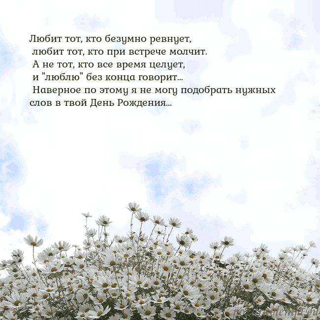 Открытка с ромашками
