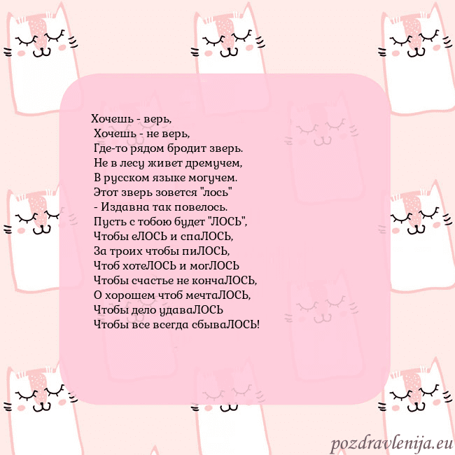 Розовая открытка с забавными кошками