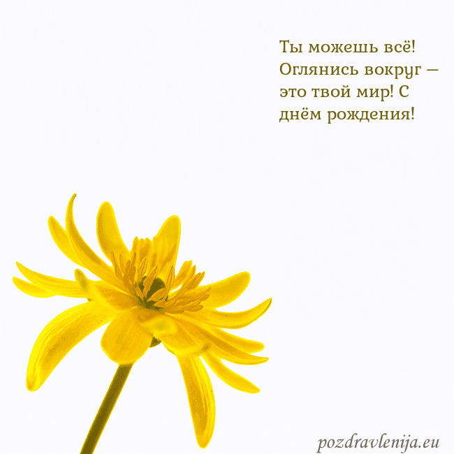 Открытка с желтым цветком